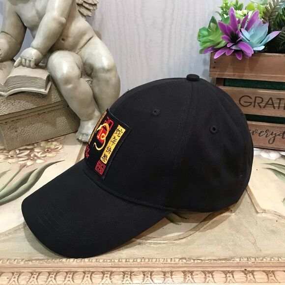 Pacific Headwear 2013 Year of the Water Snake Chinese Zodiac Cap Hat Black - Picture 6 of 14